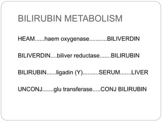 BILIRUBIN METABOLISM
HEAM......haem oxygenase...........BILIVERDIN
BILIVERDIN....biliver reductase.......BILIRUBIN
BILIRUBIN......ligadin (Y)..........SERUM.......LIVER
UNCONJ.......glu transferase.....CONJ BILIRUBIN
 
