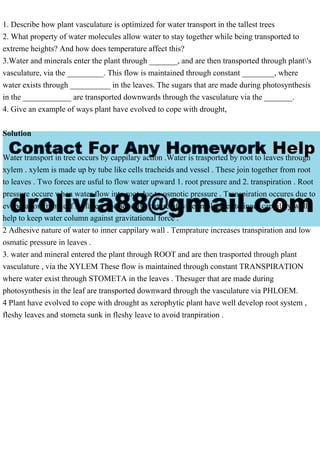 1. Describe how plant vasculature is optimized for water transport in the tallest trees
2. What property of water molecules allow water to stay together while being transported to
extreme heights? And how does temperature affect this?
3.Water and minerals enter the plant through _______, and are then transported through plant's
vasculature, via the _________. This flow is maintained through constant ________, where
water exists through __________ in the leaves. The sugars that are made during photosynthesis
in the ____________ are transported downwards through the vasculature via the _______.
4. Give an example of ways plant have evolved to cope with drought,
Solution
Water transport in tree occurs by cappilary action .Water is trasported by root to leaves through
xylem . xylem is made up by tube like cells tracheids and vessel . These join together from root
to leaves . Two forces are usful to flow water upward 1. root pressure and 2. transpiration . Root
pressure occure when water flow into root due to osmotic pressure . Transpiration occures due to
evoporation from leaf surface . The adhesive nature of water molecules to inner cappilary wall
help to keep water column against gravitational force .
2 Adhesive nature of water to inner cappilary wall . Temprature increases transpiration and low
osmatic pressure in leaves .
3. water and mineral entered the plant through ROOT and are then trasported through plant
vasculature , via the XYLEM These flow is maintained through constant TRANSPIRATION
where water exist through STOMETA in the leaves . Thesuger that are made during
photosynthesis in the leaf are transported downward through the vasculature via PHLOEM.
4 Plant have evolved to cope with drought as xerophytic plant have well develop root system ,
fleshy leaves and stometa sunk in fleshy leave to avoid tranpiration .
 