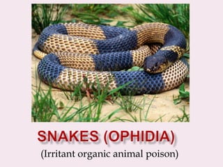 (Irritant organic animal poison)
 