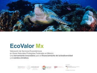 Valoración de Servicios Ecosistémicos
en Áreas Naturales Protegidas Federales en México:
Una herramienta innovadora para el financiamiento de la biodiversidad
y el cambio climático.
EcoValor Mx
 