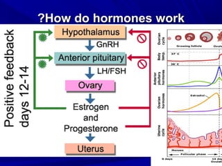 How do hormones work
How do hormones work
?
?
 