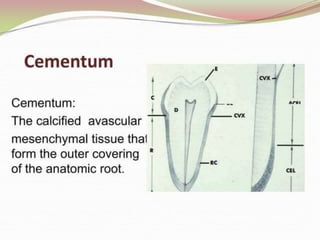 1.introduction to periodontics.pptx