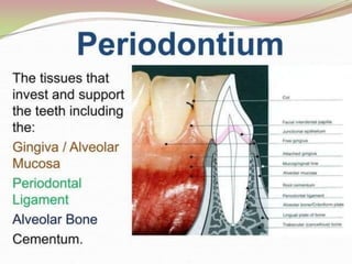 1.introduction to periodontics.pptx