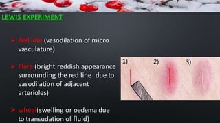 LEWIS EXPERIMENT
 Red line (vasodilation of micro
vasculature)
 Flare (bright reddish appearance
surrounding the red line due to
vasodilation of adjacent
arterioles)
 wheal(swelling or oedema due
to transudation of fluid)
 