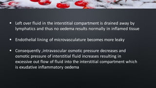  Left over fluid in the interstitial compartment is drained away by
lymphatics and thus no oedema results normally in inflamed tissue
 Endothelial lining of microvasculature becomes more leaky
 Consequently ,intravascular osmotic pressure decreases and
osmotic pressure of interstitial fluid increases resulting in
excessive out flow of fluid into the interstitial compartment which
is exudative inflammatory oedema
 