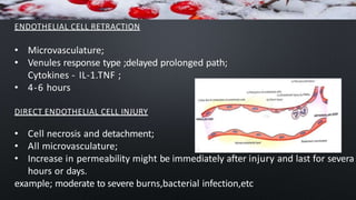 ENDOTHELIAL CELL RETRACTION
• Microvasculature;
• Venules response type ;delayed prolonged path;
Cytokines - IL-1.TNF ;
• 4-6 hours
DIRECT ENDOTHELIAL CELL INJURY
• Cell necrosis and detachment;
• All microvasculature;
• Increase in permeability might be immediately after injury and last for severa
hours or days.
example; moderate to severe burns,bacterial infection,etc
 
