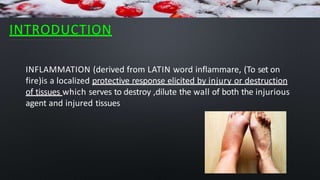 INTRODUCTION
INFLAMMATION (derived from LATIN word inflammare, (To set on
fire)is a localized protective response elicited by injury or destruction
of tissues which serves to destroy ,dilute the wall of both the injurious
agent and injured tissues
 