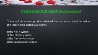 PLASMA DERIVED MEDIATORS (plasma proteases)
These include various products derived from activation and interaction
of 4 inter linked systems as follows:
a)The Kinin system
b) The Clotting system
c)The fibrinolytic system
d)The complement system
 