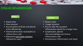 TYPES OF INFLAMMATION
 Slower onset
 Longer duration
 Occurs after the causative
inflammation persist for a longer time
 Lymphocytes ,plasma
cells,macrophages are chronic
inflammatory cells
 Simultaneous inflammation and repair
ACUTE
 Rapid onset
 Slow duration
 Accumulation of fluids and plasma
at the affected site
 Polymorphonuclear neutrophils as
inflammatory cells
 Represents early body reactions
followed by repair
CHRONIC
 
