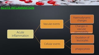 ACUTE INFLAMMATION
Acute
inflammation
Haemodynamic
changes
Vascular events
Changes in
vascular
permeability
Exudation of
leucocytes
Cellular events
phagocytosis
 