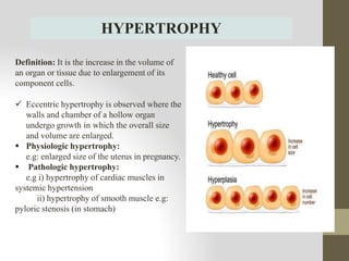 1.1cell injury-1.pptx