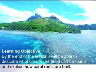 Learning Objective:
By the end of the lesson I will be able to
describe what coral is, where it can be found
and explain how coral reefs are built.
 