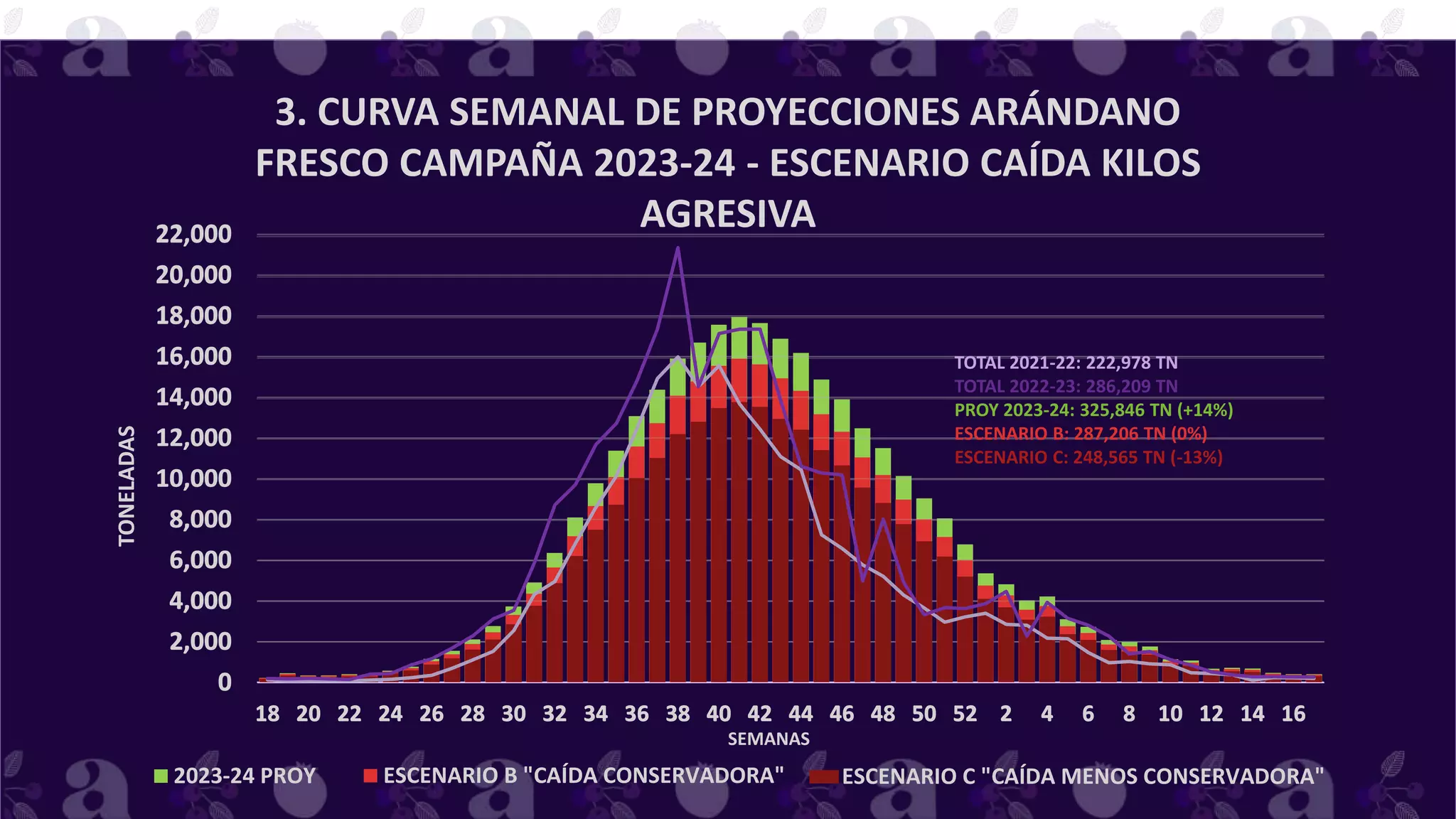 PROYECCIÓN TOTAL EXPORTACIONES ARÁNDANO FRESCO
2023-24 PROY
0
2,000
4,000
6,000
8,000
10,000
12,000
14,000
16,000
18,000
20,000
22,000
18 20 22 24 26 28 30 32 34 36 38 40 42 44 46 48 50 52 2 4 6 8 10 12 14 16
TONELADAS
SEMANAS
PROYECCIÓN TOTAL EXPORTACIONES ARÁNDANO FRESCO
ESCENARIO B "CAÍDA CONSERVADORA"
0
2,000
4,000
6,000
8,000
10,000
12,000
14,000
16,000
18,000
20,000
22,000
18 20 22 24 26 28 30 32 34 36 38 40 42 44 46 48 50 52 2 4 6 8 10 12 14 16
PROYECCIÓN TOTAL EXPORTACIONES ARÁNDANO FRESCO
ESCENARIO C "CAÍDA MENOS CONSERVADORA"
3. CURVA SEMANAL DE PROYECCIONES ARÁNDANO
FRESCO CAMPAÑA 2023-24 - ESCENARIO CAÍDA KILOS
AGRESIVA
TOTAL 2021-22: 222,978 TN
TOTAL 2022-23: 286,209 TN
PROY 2023-24: 325,846 TN (+14%)
ESCENARIO B: 287,206 TN (0%)
ESCENARIO C: 248,565 TN (-13%)
 