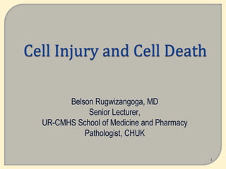 Belson Rugwizangoga, MD
Senior Lecturer,
UR-CMHS School of Medicine and Pharmacy
Pathologist, CHUK
1
 