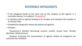 REVERSIBLE ANTAGONISTS
• If the antagonist binds to the same site on the receptor as the agonist in a
reversible manner, it is called as ‘Competitive’
• It interferes with an agonist binding to its receptor and maintains the receptor in
its inactive state
• Competitive antagonists reduce the potency of agonists
• Example;
Terazosin(𝛼 1 blocker) decreasing vascular smooth muscle tone, thereby
decreases blood pressure
However increasing the concentration of agonist relative to antagonist can
overcome this inhibition
29
 