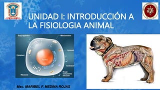 UNIDAD I: INTRODUCCIÓN A
LA FISIOLOGIA ANIMAL
Msc. MARIBEL F. MEDINA ROJAS
 