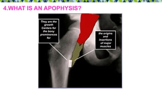 4.WHAT IS AN APOPHYSIS?
 