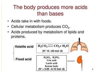  The body produces more acids than bases
 Acids take in with foods
 Acids produced by metabolism of lipids and proteins
 Cellular metabolism produces CO2.
 CO2 + H20 ↔ H2CO3 ↔ H+ + HCO3
-
 