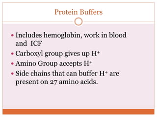 Protein Buffers
 Includes hemoglobin, work in blood
and ICF
 Carboxyl group gives up H+
 Amino Group accepts H+
 Side chains that can buffer H+ are
present on 27 amino acids.
 