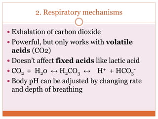 2. Respiratory mechanisms
 Exhalation of carbon dioxide
 Powerful, but only works with volatile
acids (CO2)
 Doesn’t affect fixed acids like lactic acid
 CO2 + H20 ↔ H2CO3 ↔ H+ + HCO3
-
 Body pH can be adjusted by changing rate
and depth of breathing
 