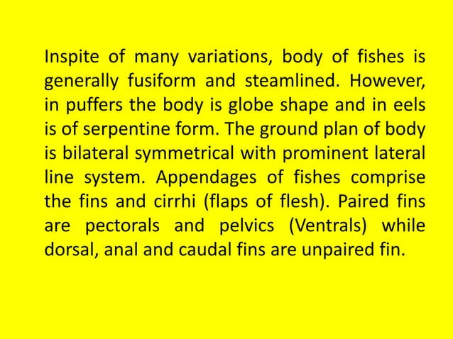 Study of Fish Morphology | PPTX