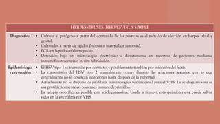 HERPESVIRUSES: HERPESVIRUS SIMPLE
Diagnostico • Cultivar el patógeno a partir del contenido de las pústulas es el método de elección en herpes labial y
genital.
• Cultivados a partir de tejidos (biopsia o material de autopsia).
• PCR en líquido cefalorraquídeo.
• Detección bajo un microscopio electrónico o directamente en muestras de pacientes mediante
inmunofluorescencia o in situ hibridación
Epidemiologia
y prevención
• El HSV tipo 1 se transmite por contacto, y posiblemente también por infección del frotis.
• La transmisión del HSV tipo 2 generalmente ocurre durante las relaciones sexuales, por lo que
generalmente no se observan infecciones hasta después de la pubertad
• Actualmente no se dispone de profilaxis inmunológica (vacunación) para el VHS. La acicloguanosina se
usa profilácticamente en pacientes inmunodeprimidos.
• La terapia específica es posible con acicloguanosina. Usada a tiempo, esta quimioterapia puede salvar
vidas en la encefalitis por VHS
 