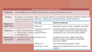 PICORNAVIRUSES: ENTEROVIRUS
Clasificación virus de ARN (genomas de ARN monocatenario, orientación de la hebra sensorial)
Patógeno Se replican en el intestino, llegan a su órgano objetivo con el torrente sanguíneo. Números grandes de
infecciones inaparentes son típicas de este grupo.
Incluye las especies: Poliovirus (patógeno de la poliomielitis) y Coxsackievirus grupo A y B.
Patogénesis y
cuadro clínico
Diagnostico • PCR o aislamiento del virus del líquido cefalorraquídeo
• Frotis faríngeo o de heces
• Serodiagnóstico
Epidemiologia
y prevención
• Los humanos son el reservorio de los enterovirus. La transmisión es directa (infección por frotis) o en los
alimentos y el agua.
 