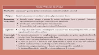 PICORNAVIRUSES: RINOVIRUS
Clasificación virus de ARN (genomas de ARN monocatenario, orientación de la hebra sensorial)
Patógeno Se diferencian en que son sensibles a los ácidos y ligeramente más densos
Patogénesis y
cuadro clínico
• Resfriado común, infectan la mucosa del espacio nasofaríngeo (nariz y garganta). Permanecen
estrictamente localizados allí y no causan infecciones generalizadas.
• En niños (rara vez) causan bronquitis o bronconeumonía.
• El cuadro clínico suele empeorar por sobreinfección bacteriana.
Diagnostico • Los diagnósticos de laboratorio solo se requieren en casos especiales de infección por rinovirus. Los virus
se pueden cultivar en cultivos celulares.
Epidemiologia
y prevención
• Se transmiten directamente, por ejemplo por manos contaminadas o por gotitas, y pueden involucrar la
introducción en el espacio nasofaríngeo con los dedos.
• Las infecciones ocurren en todo el mundo, con una proliferación pronunciada en los meses de invierno.
• El hecho de que todo el mundo se resfríe repetidamente se explica por la muy breve inmunidad
conferida ante la infección y los muchos tipos de virus diferentes involucrados.
• Las infecciones siempre son exógenos, es decir, no reactivaciones por frío, humedad, etc.
• La única medida profiláctica concebible es evitar grandes grupos de personas.
 