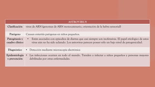 ASTROVIRUS
Clasificación virus de ARN (genomas de ARN monocatenario, orientación de la hebra sensorial)
Patógeno Causan enteritis patógenas en niños pequeños.
Patogénesis y
cuadro clínico
• Están asociados con episodios de diarrea que casi siempre son inofensivas. El papel etiológico de estos
virus aún no ha sido aclarado. Los astrovirus parecen poseer sólo un bajo nivel de patogenicidad.
Diagnóstico • Detección mediante microscopía electrónica
Epidemiologia
y prevención
• Las infecciones ocurren en todo el mundo. Tienden a infectar a niños pequeños y personas mayores
debilitadas por otras enfermedades.
 