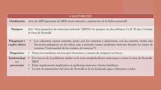 CALICIVIRUSES
Clasificación virus de ARN (genomas de ARN monocatenario, orientación de la hebra sensorial)
Patógeno Son “virus pequeños de estructura redonda” (SRSV). Se agrupan en dos subtipos, I y II. El tipo I incluye
el virus de Norwalk
Patogénesis y
cuadro clínico
• Los calicivirus causan enteritis. Junto con los rotavirus y adenovirus, son las enteritis virales más
frecuentes patógenos en los niños, que a menudo causan epidemias menores durante los meses de
invierno (“enfermedad de los vómitos de invierno”).
Diagnóstico • Detección mediante microscopía electrónica o ensayo de antígenos en heces.
Epidemiologi
a y
prevención
• Dos tercios de la población adulta en la zona templada llevan anticuerpos contra el virus de Norwalk.
SRSV
• Están regularmente implicados en epidemias menores y brotes familiares.
• La ruta de transmisión del virus de Norwalk es la vía fecal-oral, agua y alimentos crudos
 