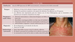 TOGAVIRUSES
Clasificación virus de ARN (genomas de ARN monocatenario, orientación de la hebra sensorial)
Patógeno • Rubivirus, el virus de la rubéola, el agente causal en el sarampión alemán.
• Incluyen los pestivirus zoopáticos, una especie de rubivirus y los alfavirus con 25 especies.
• Los alfavirus más importantes para los viajeros son el virus Chikungunya, que se transmiten a los
humanos por mosquitos chupadores de sangre
Patogénesis y
cuadro clínico
• Síntomas asintomáticos o infecciones benignas con fiebre, exantema y artralgia, que puede durar meses
hasta años
• Encefalitis y meningoencefalitis con altas tasas de letalidad. (raras veces)
• “Sarampión alemán” (infección exantemática inofensiva en niños y jóvenes)
• Deformidades congénitas o muerte embrionaria (en el 1° trimestre de embarazo)
Diagnostico • El serodiagnóstico es el método de elección
• Detección de IgM
Epidemiologia
y prevención
• Están disponibles vacunas contra la rubéola y alfavirus
• El objetivo principal de la profilaxis de la rubéola es prevenir las embriopatías causadas por la rubéola.
• La vacunación en serie de los niños se realiza antes de la pubertad.
 
