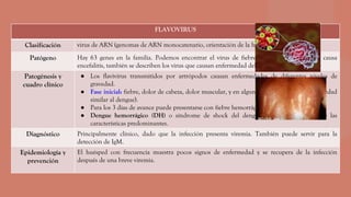 FLAVOVIRUS
Clasificación virus de ARN (genomas de ARN monocatenario, orientación de la hebra sensorial)
Patógeno Hay 63 genes en la familia. Podemos encontrar el virus de fiebre amarilla, patógeno que causa
encefalitis, también se describen los virus que causan enfermedad del viajero.
Patogénesis y
cuadro clínico
● Los flavivirus transmitidos por artrópodos causan enfermedades de diferentes niveles de
gravedad.
● Fase inicial: fiebre, dolor de cabeza, dolor muscular, y en algunos casos exantema (enfermedad
similar al dengue).
● Para los 3 días de avance puede presentarse con fiebre hemorrágica. Y se llama
● Dengue hemorrágico (DH) o síndrome de shock del dengue (DSS) dependiendo de las
características predominantes.
Diagnóstico Principalmente clínico, dado que la infección presenta viremia. También puede servir para la
detección de IgM.
Epidemiología y
prevención
El huésped con frecuencia muestra pocos signos de enfermedad y se recupera de la infección
después de una breve viremia.
 