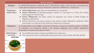 BUNYVAVIRUS
Patógeno La familia Bunyaviridae comprende más de 200 especies virales, entre las que se encuentran los
cuatro géneros patógenos humanos: Bunyavirus, Nairovirus, Phlebovirus, y Hantavirus.
Patogénesis y
cuadro clínico
● Género Bunyavirus: estos virus son transmitidos por artrópodos.
● Género Nairovirus: El principal patógeno humano en este grupo es el Virus de la fiebre
hemorrágica de Crimea-Congo
● Género Phlebovirus: este grupo incluye los patógenos que causan la fiebre benigna de
Pappataci o flebotomus.
● Género Hantavirus: este género incluye varias especies virales; Nefropática epidémica, fiebre
hemorrágica con síndrome renal, Síndrome pulmonar por hantaviru
Diagnóstico La serología (detección de IgM) es el método de elección, aunque los resultados pueden ser difíciles
de interpretar con bunyavirus debido a las variantes antigénicas que cambian rápidamente
producidas en muchas de las especies virales.
Epidemiología y
prevención
● Las medidas preventivas incluyen la profilaxis de la exposición.
● Una vacunación activa está disponible para la protección contra la fiebre del Valle del Rift
 