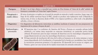 RABDOVIRUS
Patógeno El tipo 1 es el tipo clásico y mundial que ocurre en Dos formas: el "virus de la calle" aislado de
humanos y animales y el "virus fixe" según Pasteur
Patogénesis y
cuadro clínico
El virus al principio se replica en el portal de entrada en músculo y tejido conectivo, luego vaga a lo
largo de las células nerviosas hacia el SNC, donde se produce más replicación viral. Utilizando la
misma ruta, el virus se disemina desde el SNC a los órganos periféricos, sobre todo a las glándulas
salivales, córnea y riñones.
Diagnóstico Un diagnóstico de laboratorio intra-vitam se establece mediante el examen de una preparación de
impresión de la córnea o biopsia de piel
Epidemiología y
prevención
● El lyssavirus tipo 1 es endémico de América del Norte y Europa en animales salvajes (rabia
selvática) y en ciertas áreas tropicales en mascotas domésticas, en particular perros (rabia
urbana). El reservorio para los tipos restantes de lyssavirus son los murciélagos chupadores de
sangre (hemovoros), así como los murciélagos fructívoros e insectívoros.
● El largo período de incubación del virus de la rabia en humanos es de varias semanas a varios
meses,dependiendo de la localización y la gravedad de la herida por mordedura: hace factible
la vacunación protectora posterior a la exposición. El desarrollo de la vacuna se originó con
Pasteur, quien usó una vacuna de los tejidos neuronales de animales infectados
 