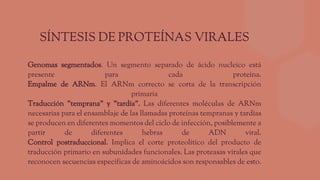 Genomas segmentados. Un segmento separado de ácido nucleico está
presente para cada proteína.
Empalme de ARNm. El ARNm correcto se corta de la transcripción
primaria
Traducción "temprana" y "tardía". Las diferentes moléculas de ARNm
necesarias para el ensamblaje de las llamadas proteínas tempranas y tardías
se producen en diferentes momentos del ciclo de infección, posiblemente a
partir de diferentes hebras de ADN viral.
Control postraduccional. Implica el corte proteolítico del producto de
traducción primario en subunidades funcionales. Las proteasas virales que
reconocen secuencias específicas de aminoácidos son responsables de esto.
SÍNTESIS DE PROTEÍNAS VIRALES
 