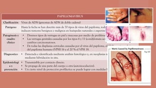 PAPILLOMAVIRUS
Clasificación Virus de ADN (genomas de ADN de doble cadena)
Patógeno Hasta la fecha se han descrito más de 70 tipos de virus del papiloma, todos los cuales
inducen tumores benignos o malignos en huéspedes naturales o experimentales.
Patogénesis y
cuadro
clínico
• Diversos tipos de verrugas en piel y mucosas por medio de proliferación celular local
• Las verrugas genitales causadas por los tipos 6 y 11 (condylomata acuminata) puede mostrar
cambios carcinomatosos.
• De todas las displasias cervicales causadas por el virus del papiloma, el 50 % contiene el virus
del papiloma humano (VPH) 16 y el 20 % el VPH 18.
Diagnostico • Detectada e identificada mediante análisis histológico y, en neoplasias malignas en particular,
mediante hibridación in situ.
Epidemiologi
a y
prevención
• Transmisible por contacto directo.
• Se propaga de una parte del cuerpo a otra (autoinoculación).
• Un cierto nivel de protección profiláctica se puede lograr con medidas higiénicas.
 