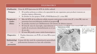 POLYOMAVIRUS
Clasificación Virus de ADN (genomas de ADN de doble cadena)
Patógeno • El nombre polioma se refiere a la capacidad de este organismo para producir tumores en
muchos órganos diferentes.
• Se dividen en dos grupos: SV40 y SV40-like(virus JC y virus BK)
Patogénesis y
cuadro
clínico
• Más del 80% de la población adulta muestra anticuerpos contra virus JC y virus BK, rara vez
presentan leucoencefalopatía multifocal progresiva
• Se pueden reactivar por debilitamiento del sistema de defensa inmune.
• El virus JC ataca la macroglia, especialmente en pacientes con SIDA, para causar LMP, por
medio de un proceso desmielinizante en el cerebro con focos diseminados que es fatal dentro
de un año.
• El virus BK puede causar cistitis hemorrágica en la médula ósea en pacientes trasplantados.
Diagnostico • Pueden detectarse con PCR y el virus BK se puede ver bajo el microscopio electrónico en la
orina.
Epidemiologi
a y
prevención
A pesar del alto nivel de contaminación generalizada, las rutas de transmisión utilizadas por los
poliomavirus humanos no han sido aclaradas.
 