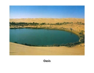 Oasis
 