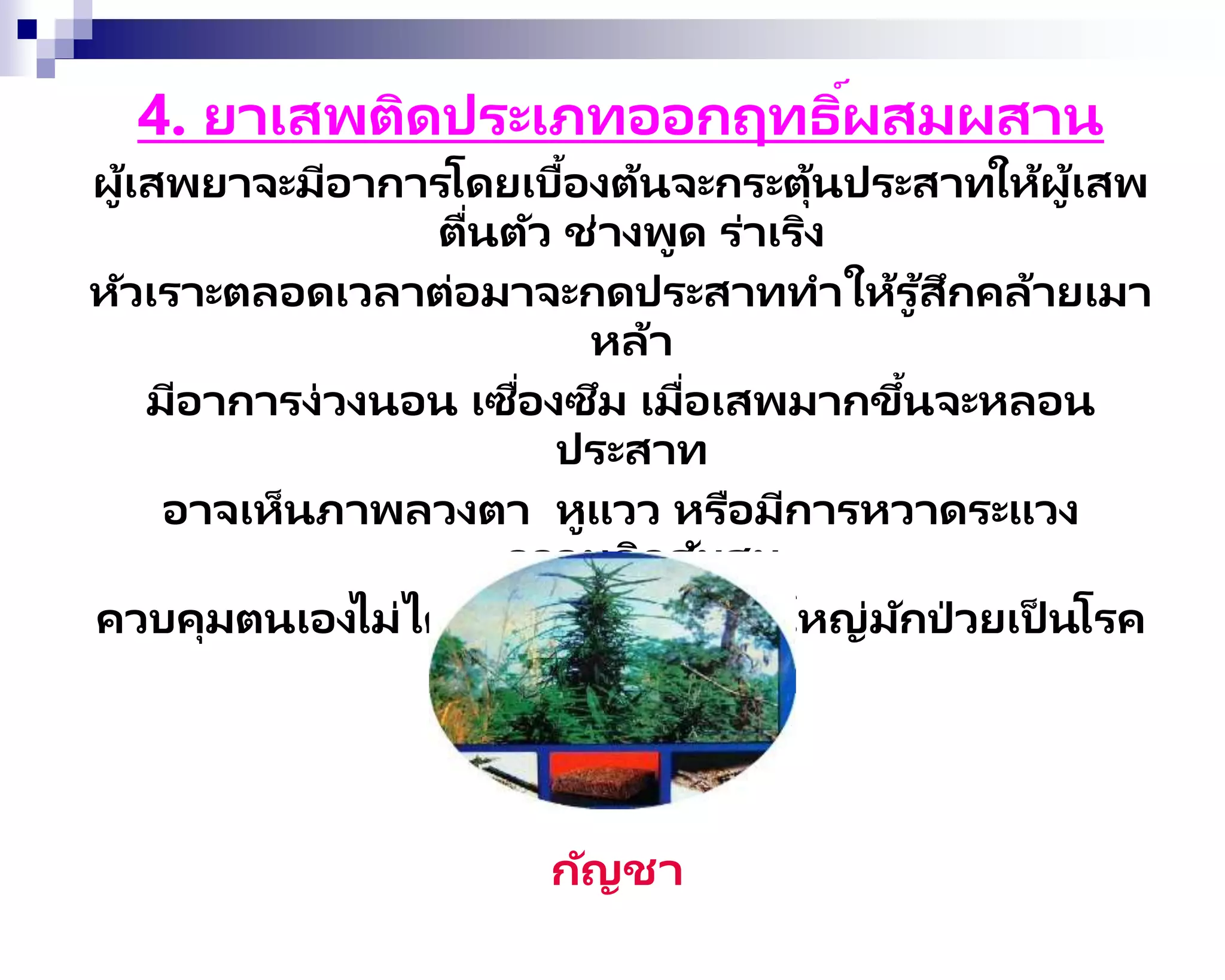4. ยาเสพติดประเภทออกฤทธิ์ผสมผสาน
ผู้เสพยาจะมีอาการโดยเบื้องต้นจะกระตุ้นประสาทให้ผู้เสพ
ตื่นตัว ช่างพูด ร่าเริง
หัวเราะตลอดเวลาต่อมาจะกดประสาททาให้รู ้สึกคล้ายเมา
หล้า
มีอาการง่วงนอน เซื่องซึม เมื่อเสพมากขึ้นจะหลอน
ประสาท
อาจเห็นภาพลวงตา หูแวว หรือมีการหวาดระแวง
ความคิดสับสน
ควบคุมตนเองไม่ได้ ผู้เสพกัญชาส่วนใหญ่มักป่ วยเป็ นโรค
จิตในภายหลัง
กัญชา
 