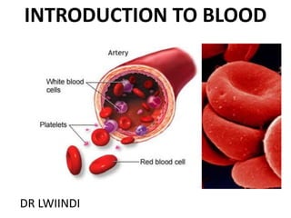 INTRODUCTION TO BLOOD
DR LWIINDI
 