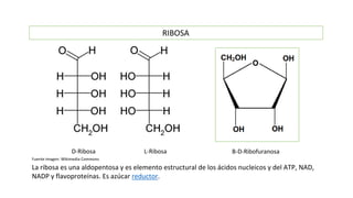 1.QUIMICA DE CARBOHIDRATOS.pptx