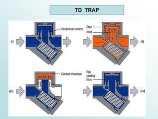 TD TRAP
 