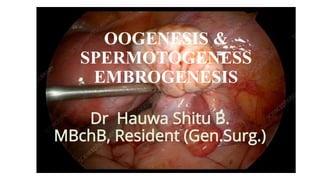 OOGENESIS &
SPERMOTOGENESS
EMBROGENESIS
Dr Hauwa Shitu B.
MBchB, Resident (Gen.Surg.)
 