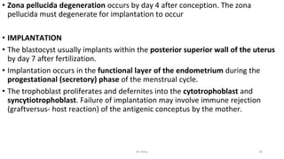 • Zona pellucida degeneration occurs by day 4 after conception. The zona
pellucida must degenerate for implantation to occur
• IMPLANTATION
• The blastocyst usually implants within the posterior superior wall of the uterus
by day 7 after fertilization.
• Implantation occurs in the functional layer of the endometrium during the
progestational (secretory) phase of the menstrual cycle.
• The trophoblast proliferates and defernites into the cytotrophoblast and
syncytiotrophoblast. Failure of implantation may involve immune rejection
(graftversus- host reaction) of the antigenic conceptus by the mother.
Dr.Shitu 19
 