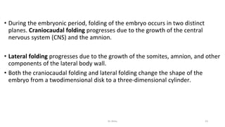 • During the embryonic period, folding of the embryo occurs in two distinct
planes. Craniocaudal folding progresses due to the growth of the central
nervous system (CNS) and the amnion.
• Lateral folding progresses due to the growth of the somites, amnion, and other
components of the lateral body wall.
• Both the craniocaudal folding and lateral folding change the shape of the
embryo from a twodimensional disk to a three-dimensional cylinder.
Dr.Shitu 23
 