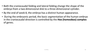 • Both the craniocaudal folding and lateral folding change the shape of the
embryo from a two dimensional disk to a three-dimensional cylinder.
• By the end of week 8, the embryo has a distinct human appearance.
• During the embryonic period, the basic segmentation of the human embryo
in the craniocaudal direction is controlled by the Hox (homeobox) complex
of genes.
Dr.Shitu 24
 