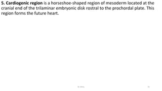 5. Cardiogenic region is a horseshoe-shaped region of mesoderm located at the
cranial end of the trilaminar embryonic disk rostral to the prochordal plate. This
region forms the future heart.
Dr.Shitu 31
 