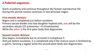 2.Pubertal oogenesis
Starts at puberty and continue throughout the female reproductive life.
During this period meiosis continues in two principal stages:
First meiotic division:
Begins and is completed just before ovulation
Primary oocyte divides into two daughter haploid cells, one will be the
secondary oocyte (22 autosomes + X chromosome).
While the other is the first polar body that degenerate.
Second meiotic division:
Also begins immediately but its arrested in metaphase II.
And just before ovulation, it is completed only if the mature ovum is fertilized by
a sperm, forming a zygote while the second polar body also degenerates.
Dr.Shitu 6
 