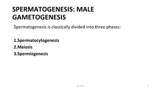 SPERMATOGENESIS: MALE
GAMETOGENESIS
Spermatogenesis is classically divided into three phases:
1.Spermatocytogenesis
2.Meiosis
3.Spermiogenesis
Dr.Shitu 9
 