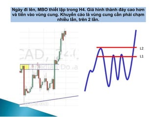 Ngày đi lên, MBO thiết lập trong H4. Giá hình thành đáy cao hơn
và tiến vào vùng cung. Khuyến cáo là vùng cung cần phải chạm
nhiều lần, trên 2 lần.
L2
L1
 